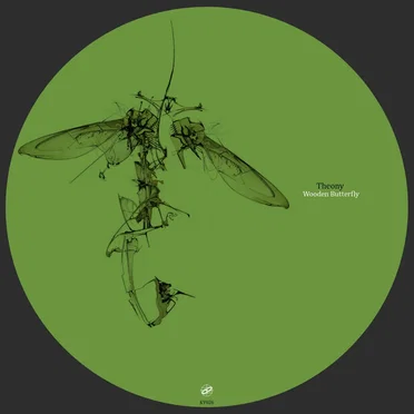 Wooden Butterfly by Theony - album cover