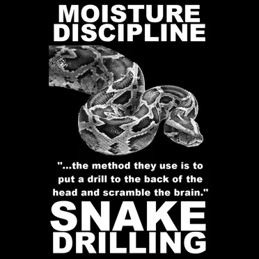Snake Drilling by Moisture Discipline - album cover