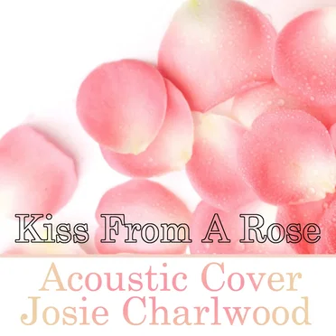 Kiss from a Rose