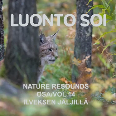 Nature Resounds Vol 14 - Following in the Footsteps of the Lynx