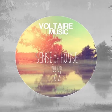 Sense Of House Vol 22 by Various Artists - album cover