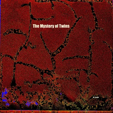The Mystery of Twins
