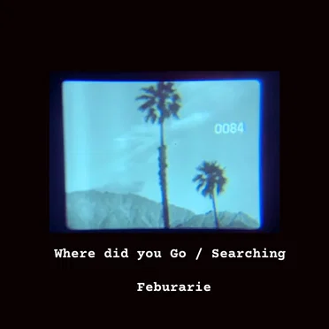 Where did you Go / Searching by Feburarie - album cover