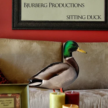Sitting Duck