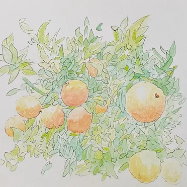 face first in the dirt