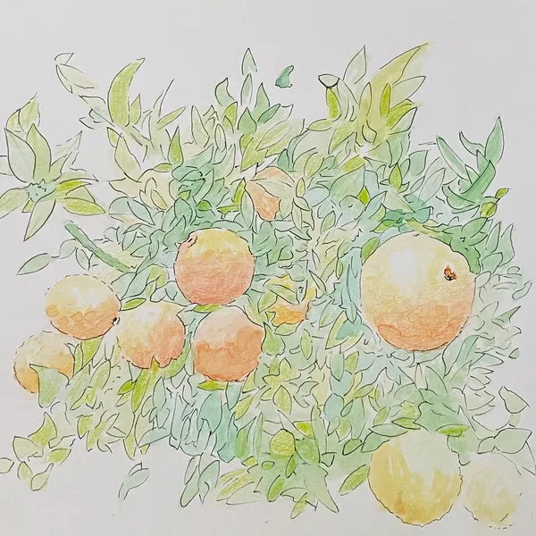 face first in the dirt