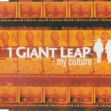 My Culture by 1 Giant Leap - album cover
