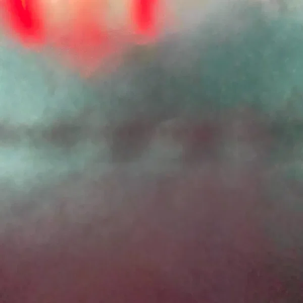 VEIL
