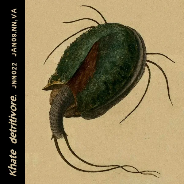 Detritivore