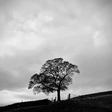 These New Unwinding Dawns Will Be the Beginning and End of Us