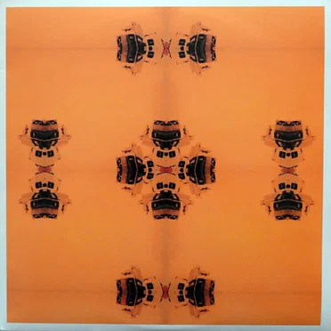 Asterisk* / Jenny Piccolo