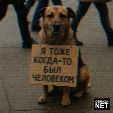 Собака