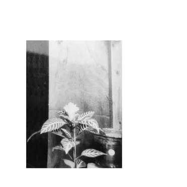 A Memory, Am I