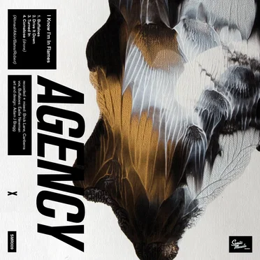 I Know I'm in Flames by Agency - album cover