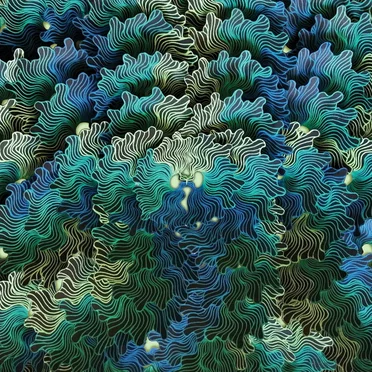 IzangoMa