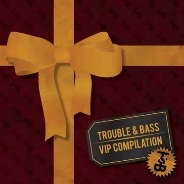 Trouble & Bass VIP Compilation by Various Artists - album cover