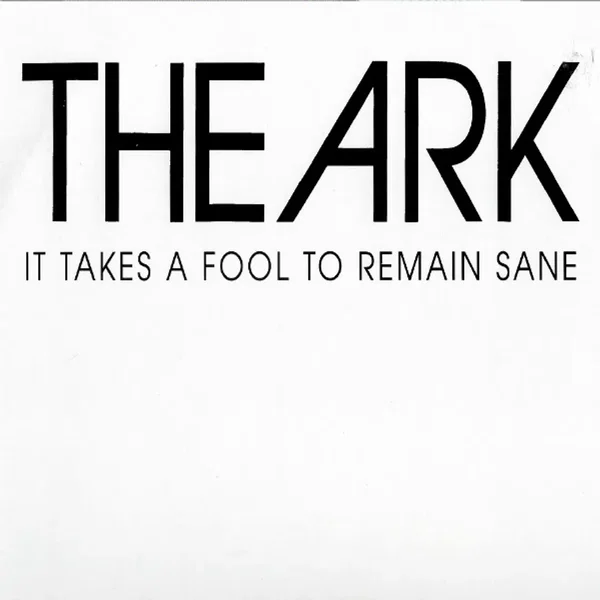 It Takes a Fool to Remain Sane