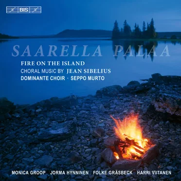 Saarella palaa (Fire on the Island)