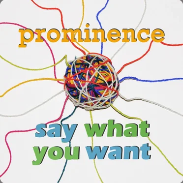 Say What You Want by Prominence - album cover