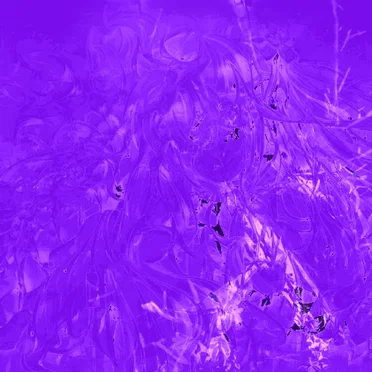 Stayyuiesdfe~====~~