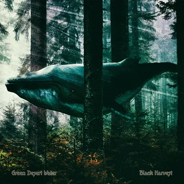 Black Harvest by Green Desert Water - album cover