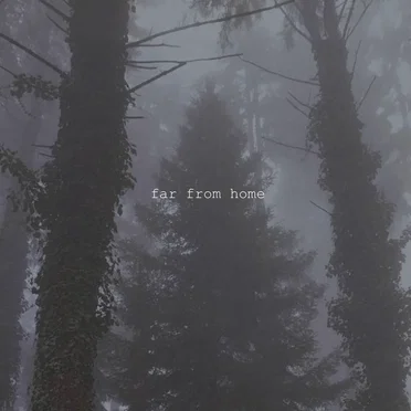 far from home