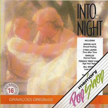 Into the Night by Various Artists - album cover