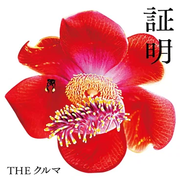 証明