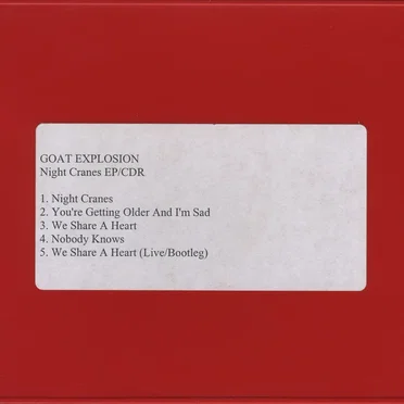 Night Cranes EP by Goat Explosion - album cover