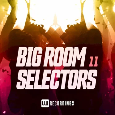Big Room Selectors, 11 by Various Artists - album cover