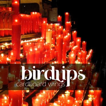 Cardboard Wings by Birdlips - album cover