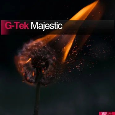 Majestic by G-Tek - album cover