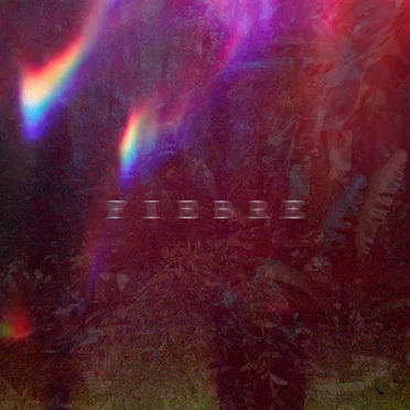 Fiebre by Dany F - album cover