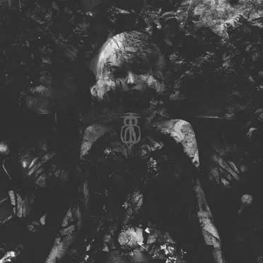 When I Am Lost in the Dark, the Fairies Come Out to Meet Me