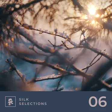 Silk Selections 06 by Various Artists - album cover