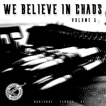 We Believe in Chaos, Vol.5 by Various Artists - album cover