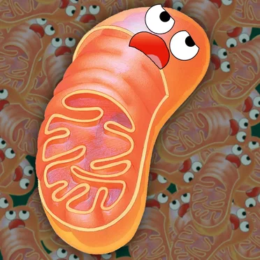 Real Mitochondria Problems by Groaning Mitochondria - album cover