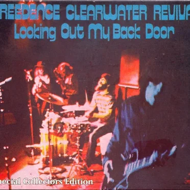 Looking out My Back Door