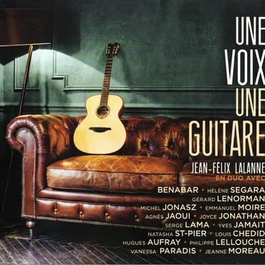 Une voix, une guitare
