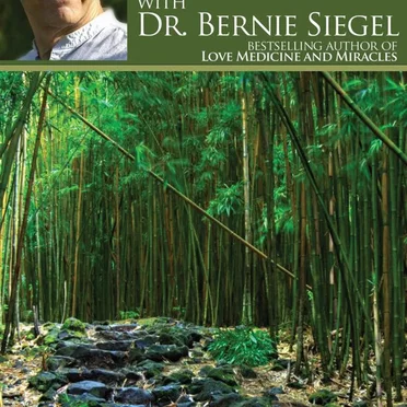 Guided Healing Meditations by Dr. Bernie Siegel - album cover