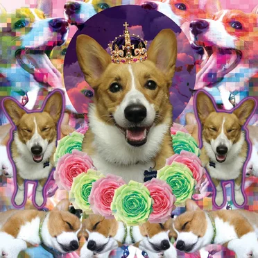 SPACE CORGI by LITTLE PAW - album cover