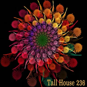 Tall House 236 by Various Artists - album cover
