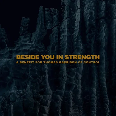 Beside You in Strength by Various Artists - album cover