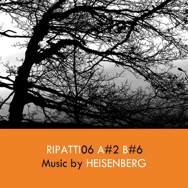 Ripatti06 by Heisenberg - album cover