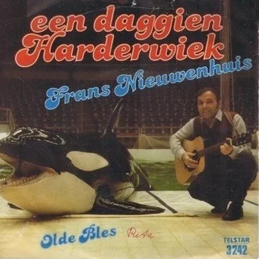 Een daggien Harderwiek by Frans Nieuwenhuis - album cover