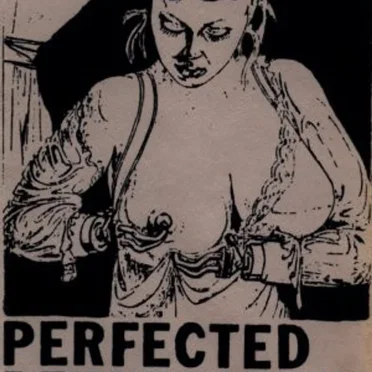Perfected Perversions by Various Artists - album cover