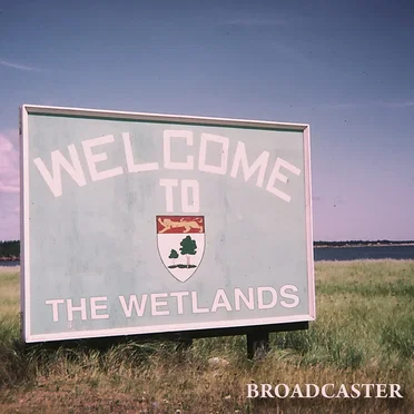 Welcome to the Wetlands