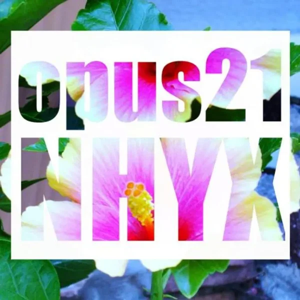 Opus 21