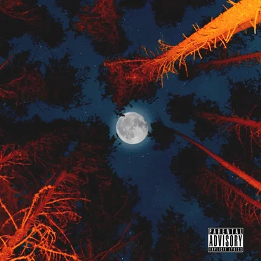 give u the moon