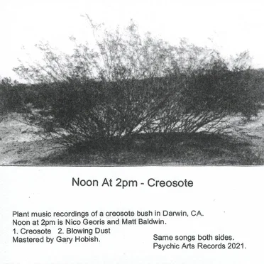 Creosote (2021)